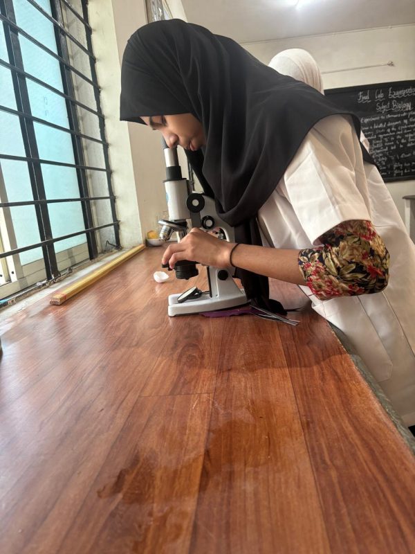 WhatsApp Image 2025-07-27 at 22.34.21 (2)