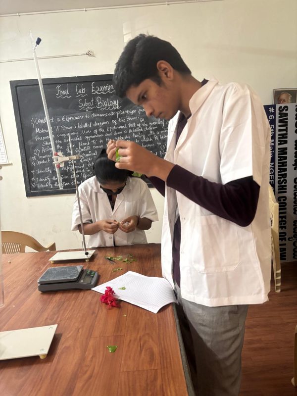 WhatsApp Image 2025-07-27 at 22.34.26 (2)